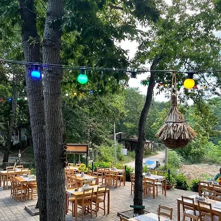 виктория - Kamchia (Varna)